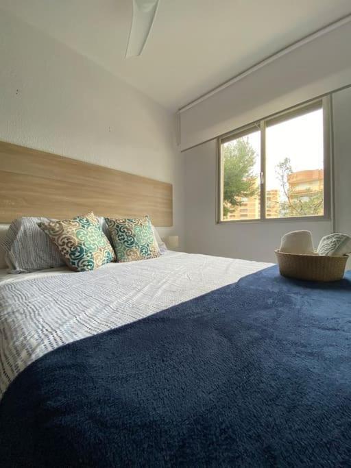Apartamento En Benicasim Con Piscina Lägenhet Benicàssim Exteriör bild